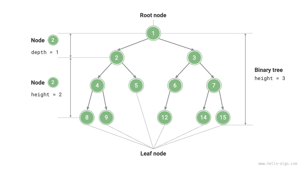 Common Terminology of Binary Trees